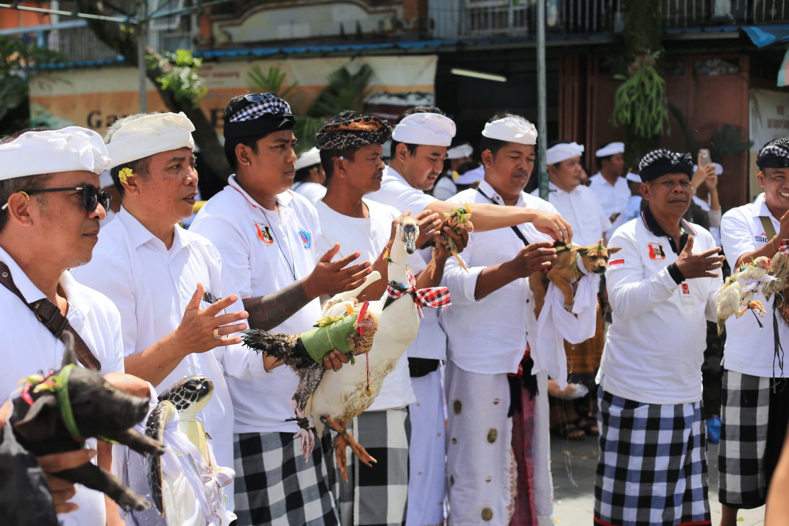 Jelang Tawur Agung Kesanga,  Pemkab Klungkung Mepepade di Catus Pata