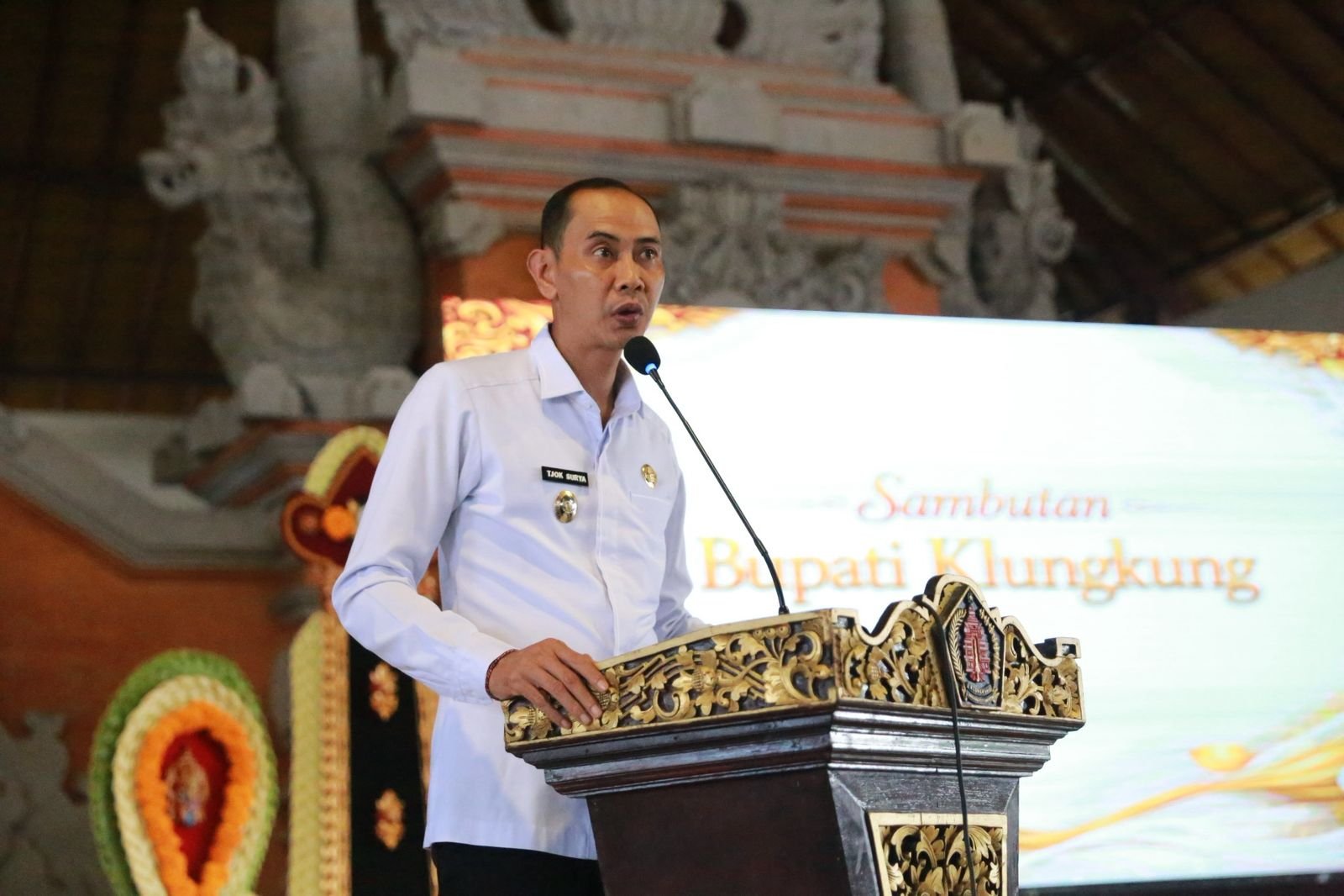 Wabup Tjok Surya Buka Festival Karier Semarapura