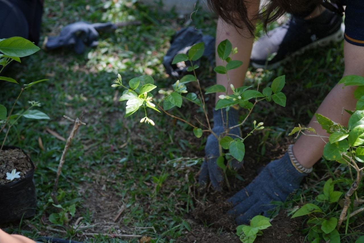 Tak Mau Acara Simbolis, ITDC Utilitas Libatkan Pegawai dalam Aksi Nyata Hari Bumi 