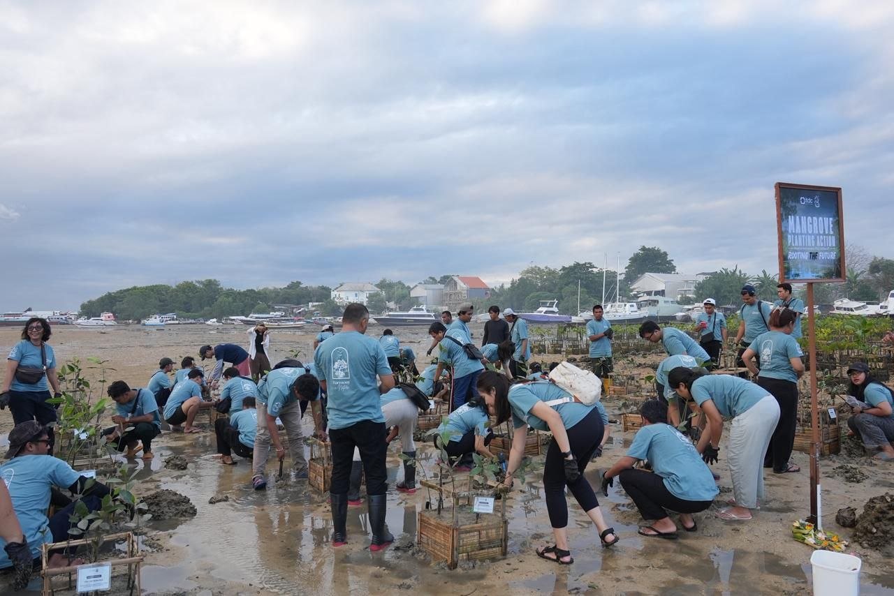 Jaga Ekosistem Pesisir ITDC Nusantara Utilitas Tanam 250 Bibit Mangrove