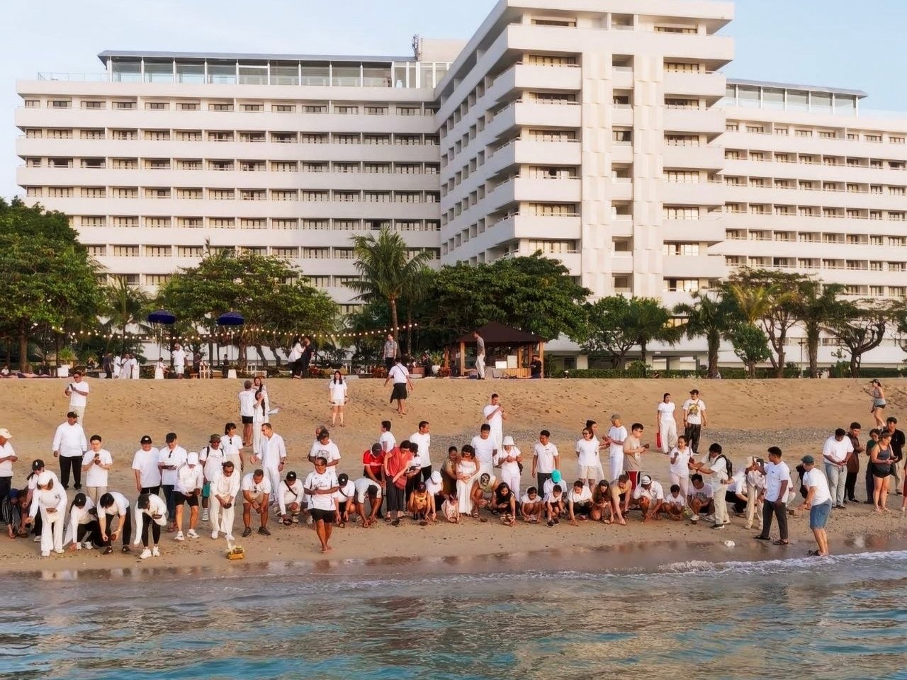 World Turtle Day, The Meru Sanur dan Bali Beach Hotel Lepas 70 Tukik Bareng Wisatawan