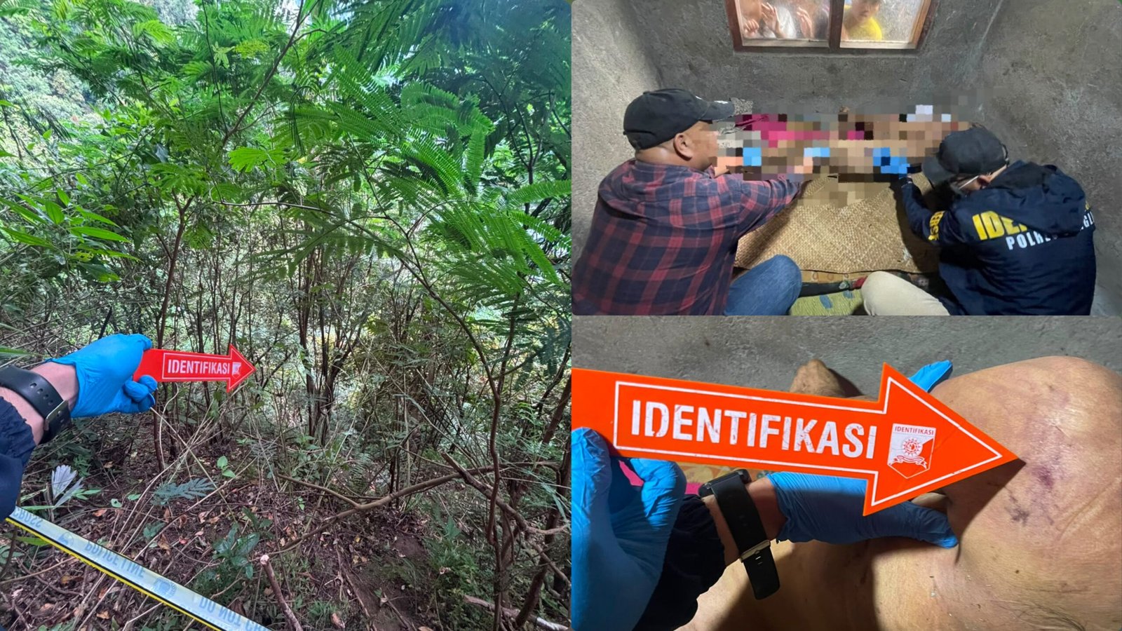 Tragis! Cari Kayu Bakar, Lansia 70 Tahun Justru Ditemukan Tewas Di Dasar Jurang