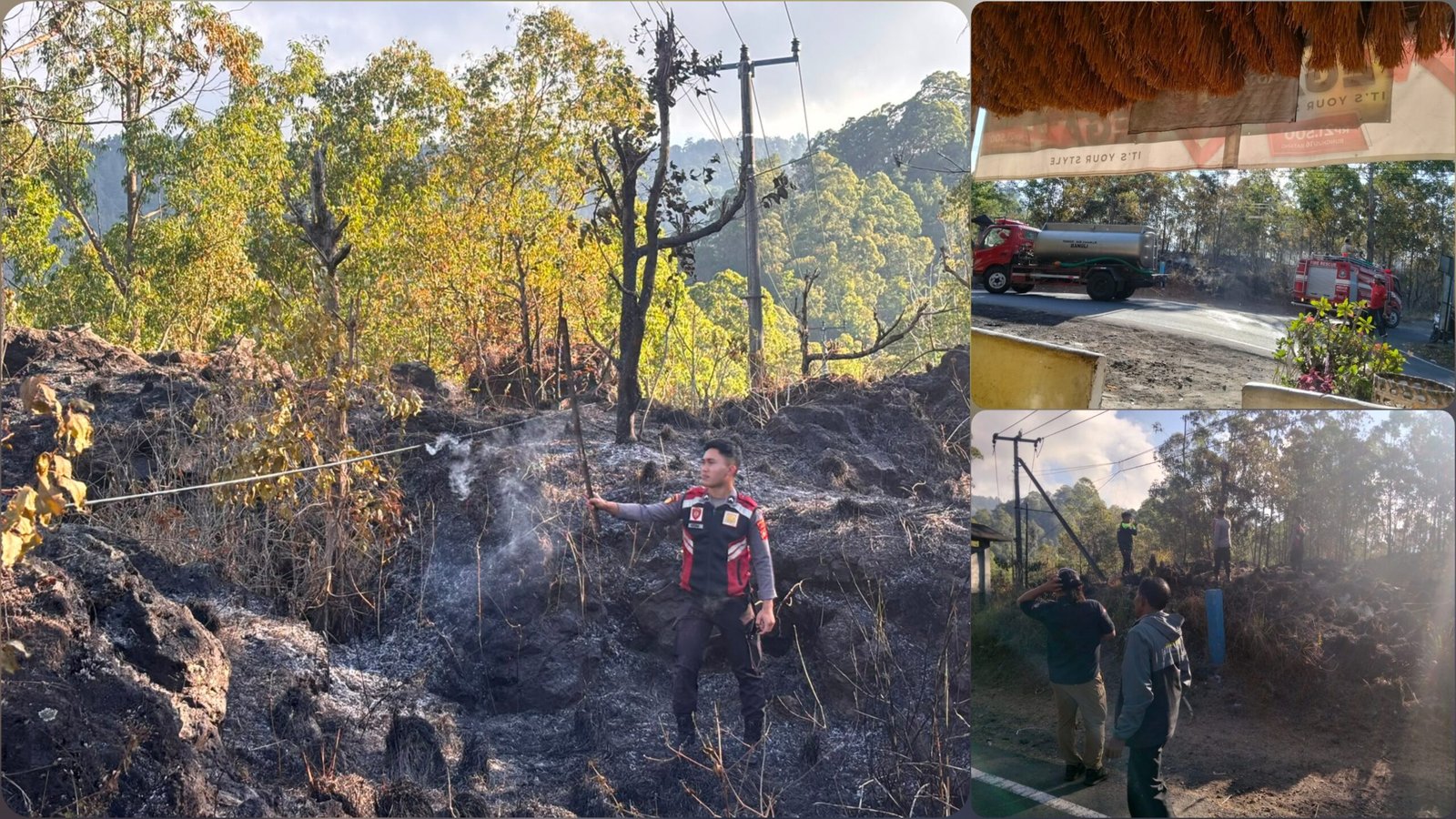 Puntung Rokok Diduga Jadi Pemicu, Dua Ha Hutan Gunung Batur Terbakar