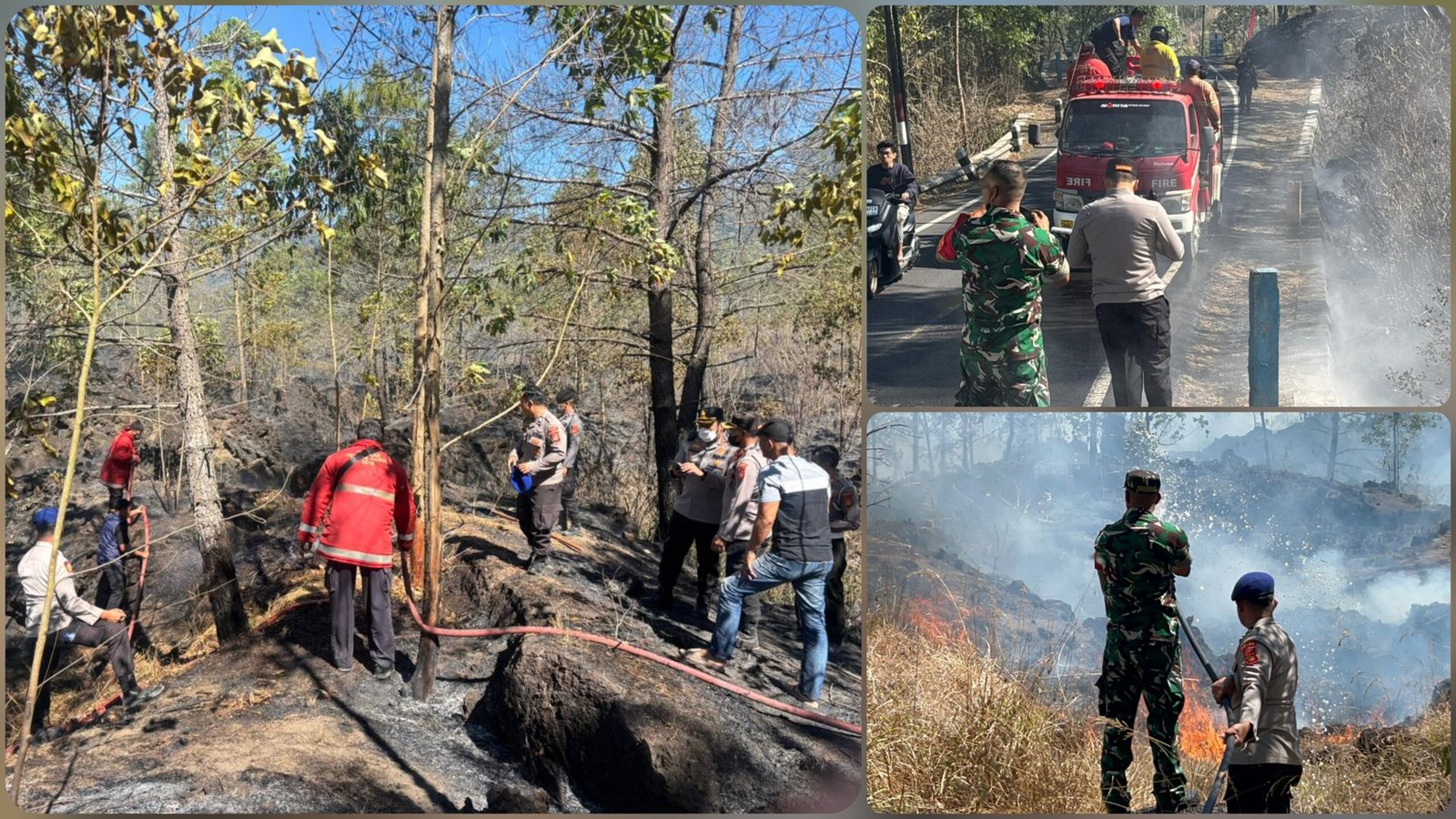 Gunung Batur Kembali Terbakar, 2 Hektar Lebih Hutan Ludes Dilalap Api