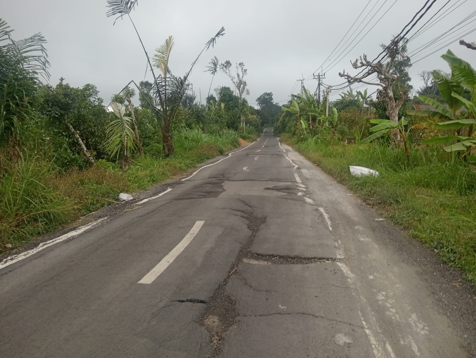 Miris!!! Belum Genap Setahun, Jalan Bayung Gede–Batur Kembali Rusak