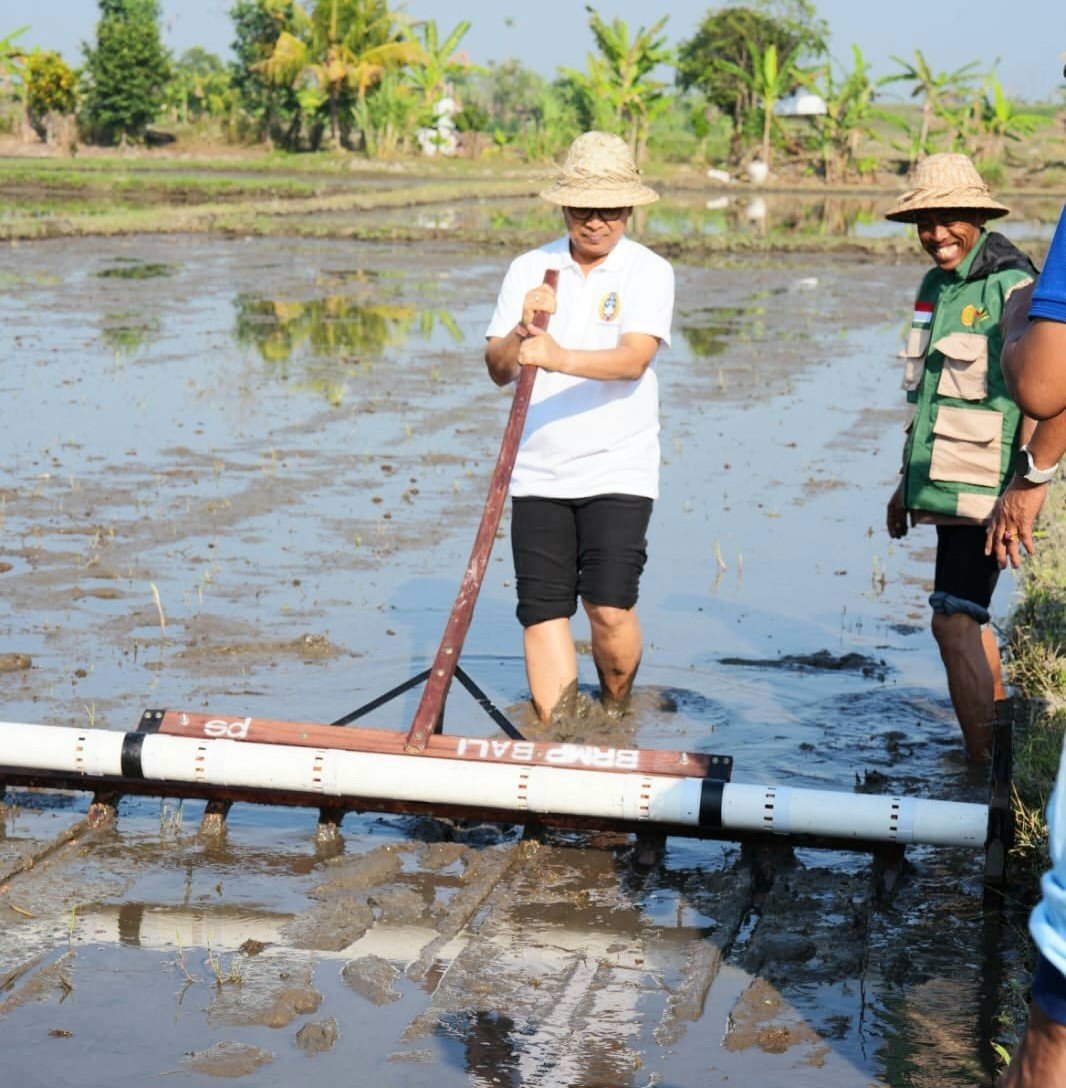 Badung Modernisasi Pertanian, Targetkan Produksi Padi 12 Ton Per Hektare