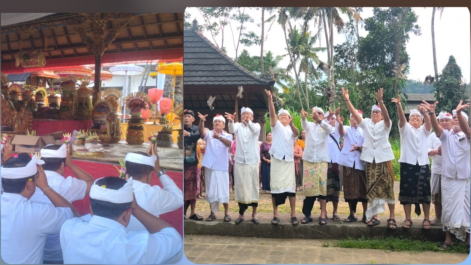 Bukan Sekadar Upacara, Tumpek Uye Jadi Momentum Bangli Jaga Alam dan Satwa