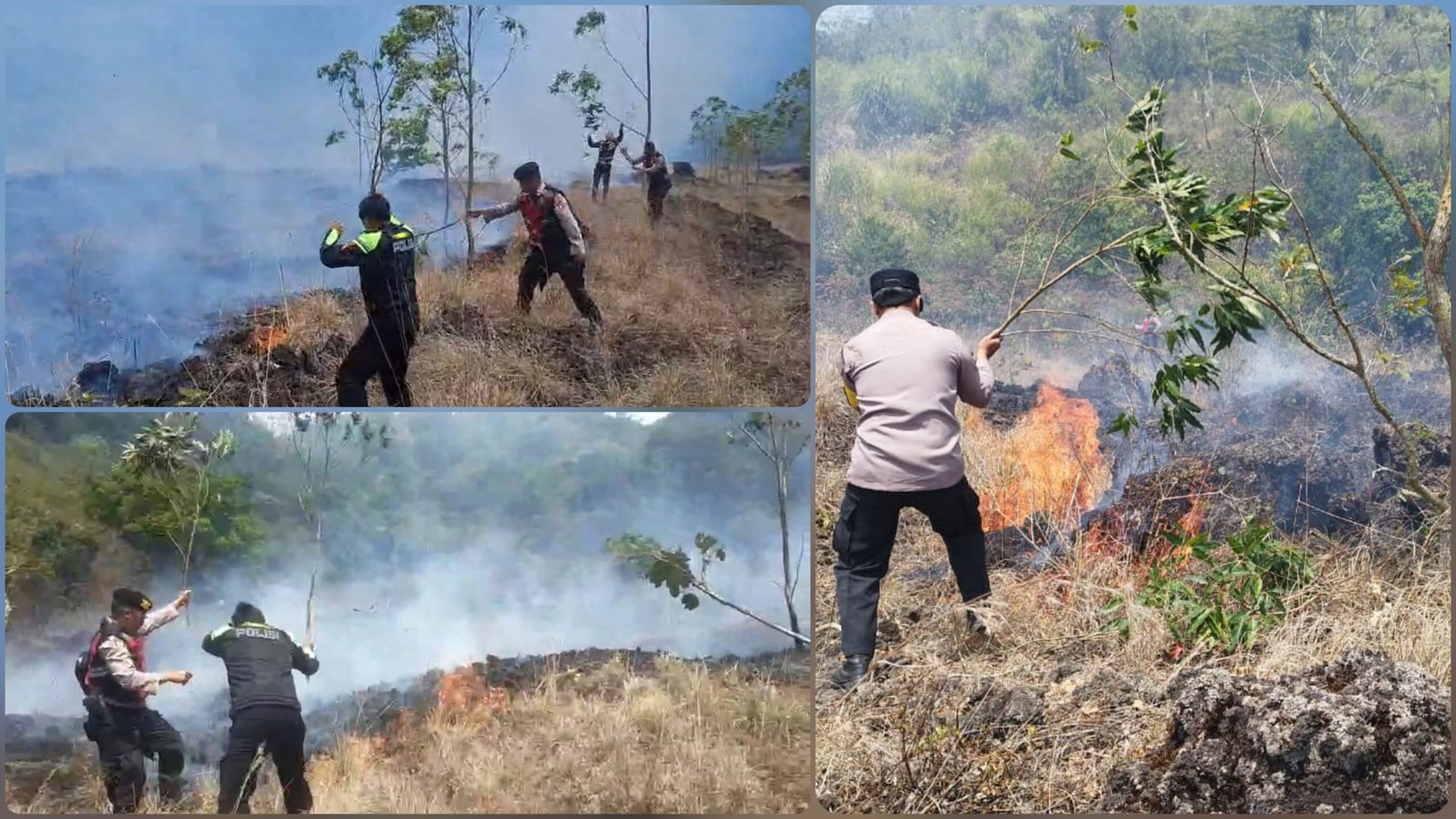 Kintamani Kembali Membara, Api Lahap Hutan Konservasi BKSDA