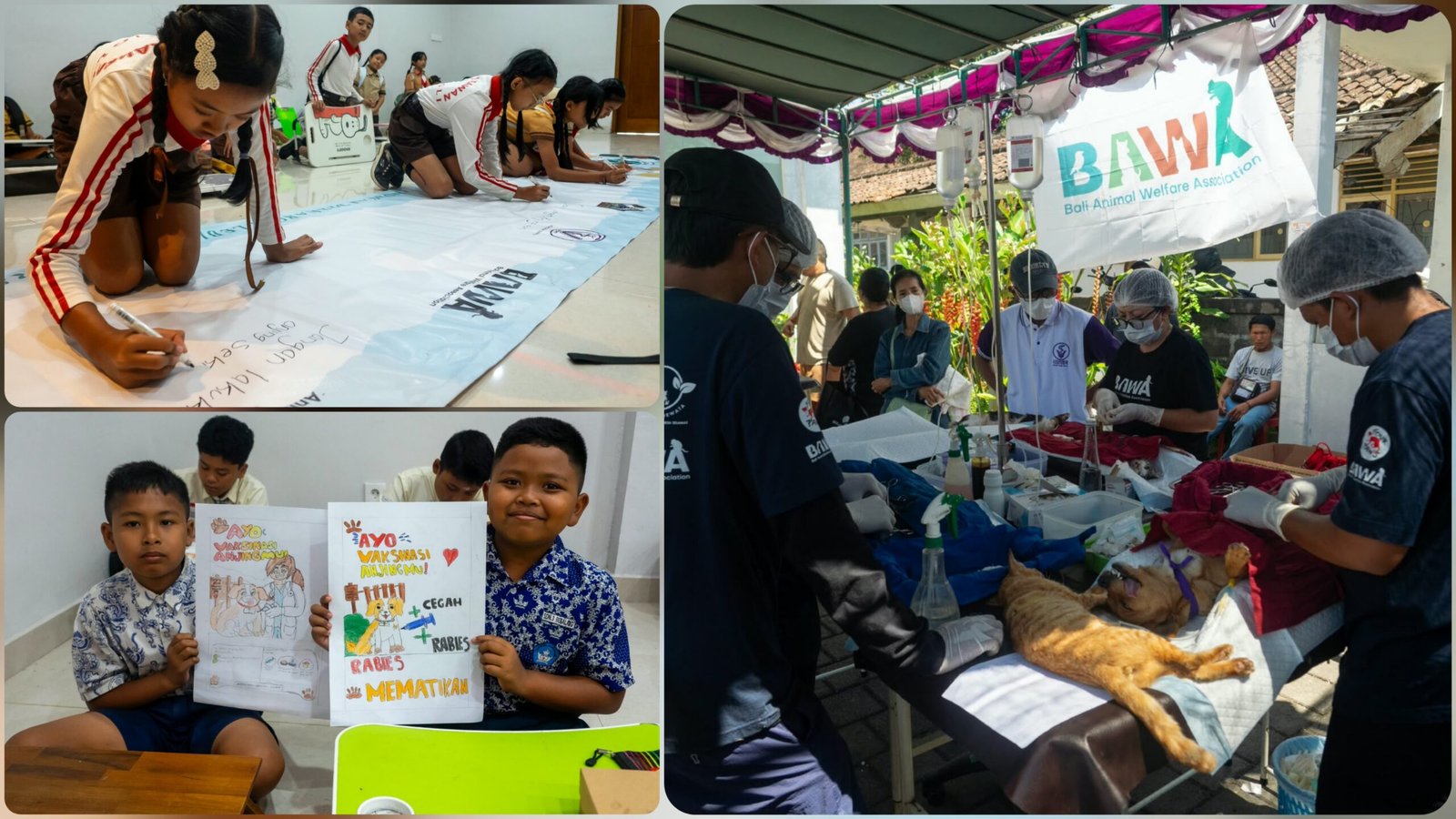 Peringati Hari Rabies Sedunia, Edukasi Anak Sekolah Cegah Rabies Kian Digencarkan Di Bangli