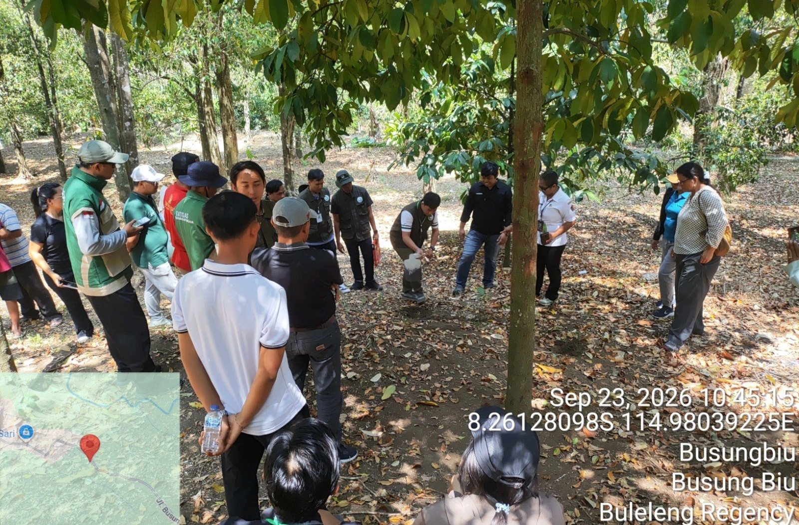 Cuaca Makin Ekstrem, Kementan-IFAD Genjot Ketahanan Manggis Buleleng
